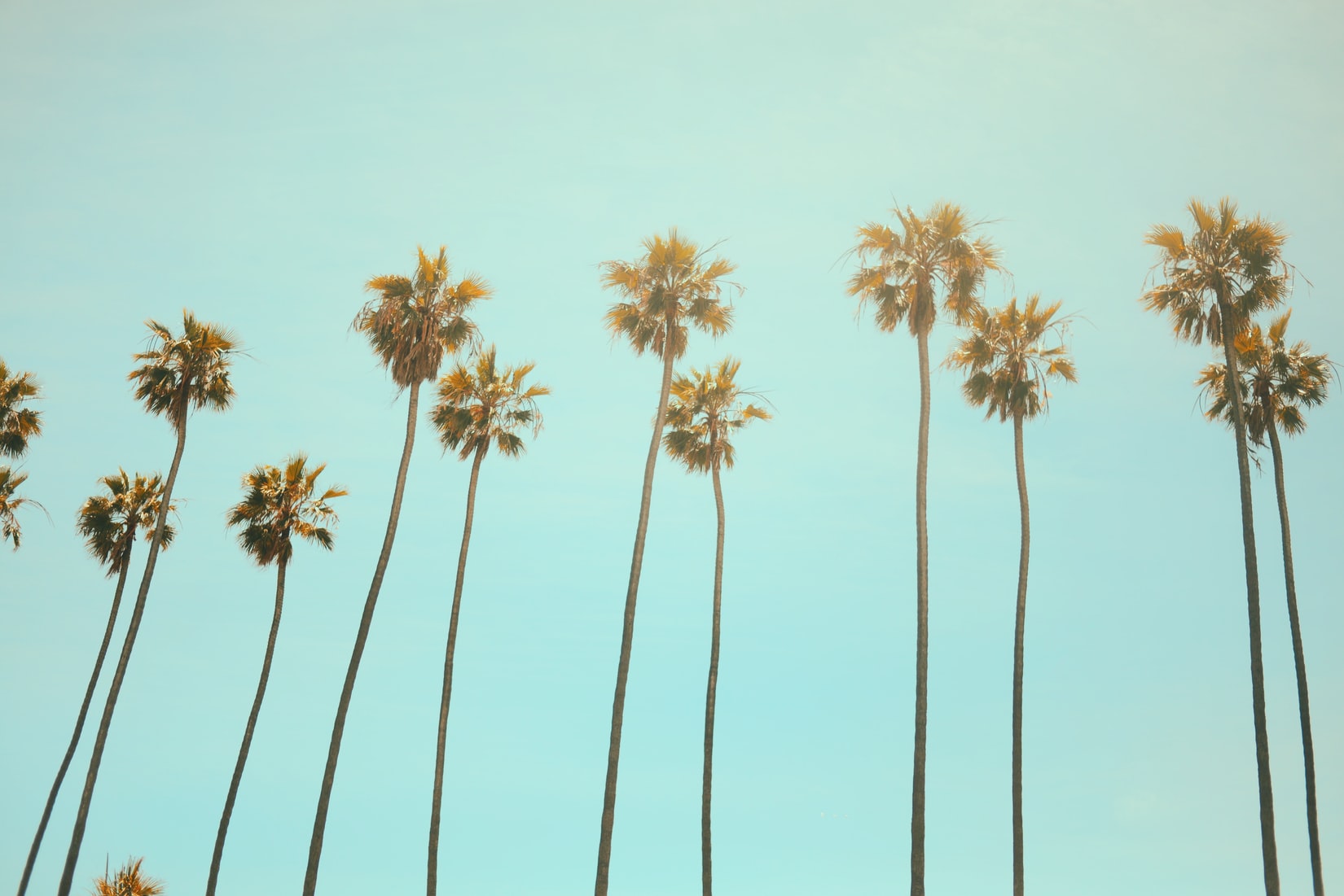 How To File For Divorce In California
